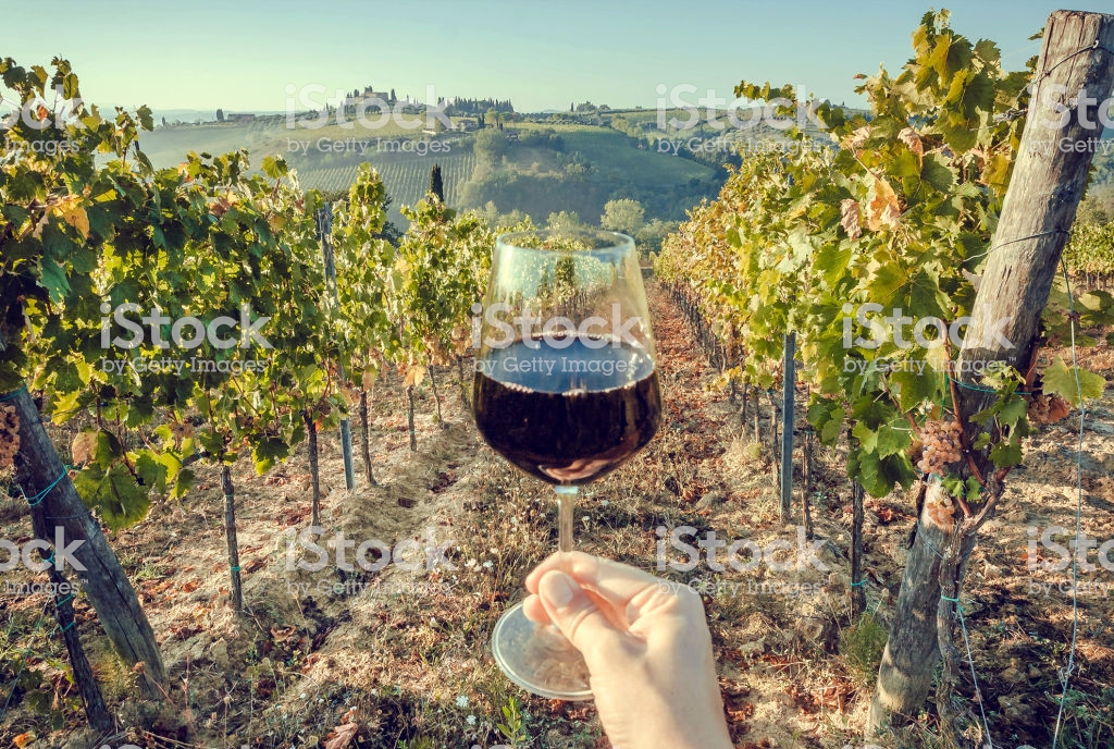 Joseph Drouhin Gevrey-Chambertin vs. Domaine Serene Evenstad Reserve